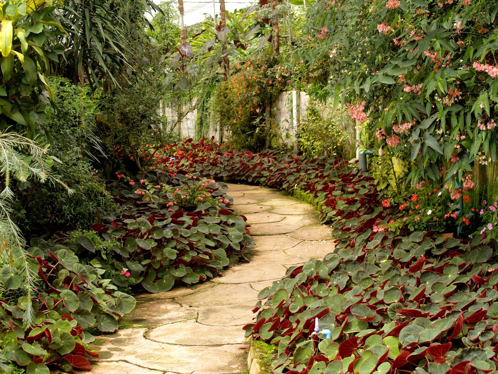 Landscaping Project 4